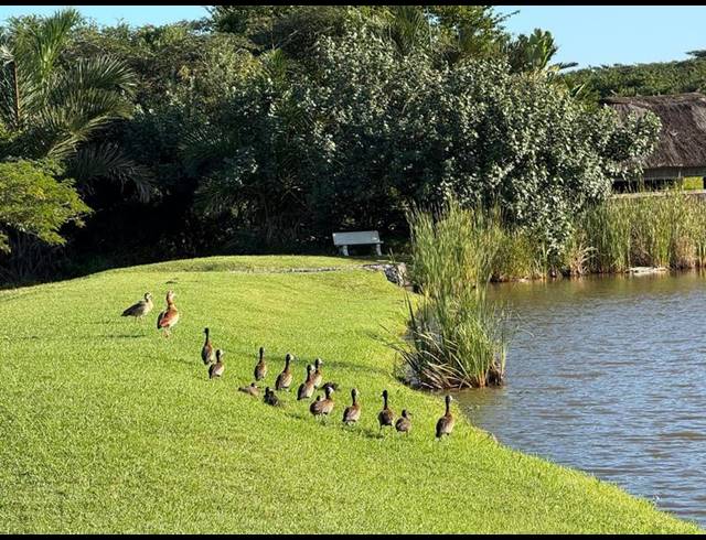 LAND FOR SALE IN ZINI RIVER ESTATE